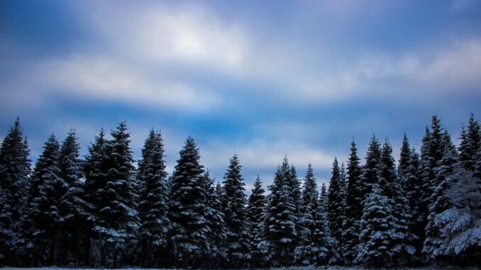 uploaded-image-orman-yanginlari-ve-doga-felaketleri-1696672195785